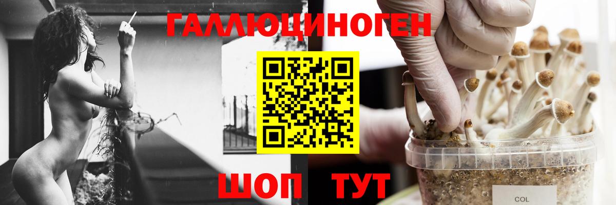 Псилоцибиновые грибы Psilocybine cubensis Кизилюрт
